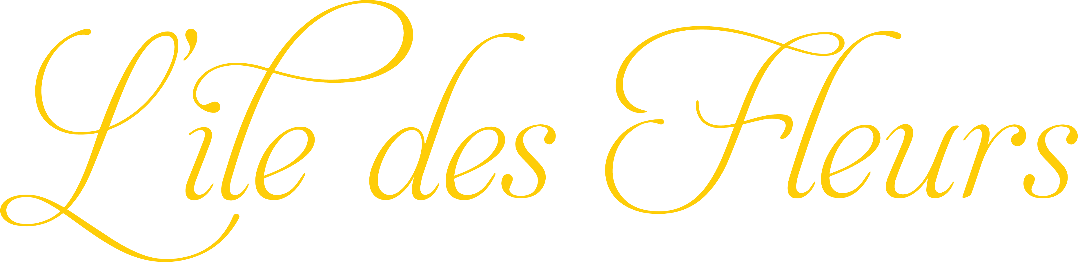 Logo_Lile-de-Fleurs_1
